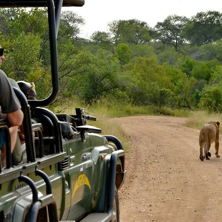 Kruger Safari Lodge Manyeleti Game Reserve Exterior foto